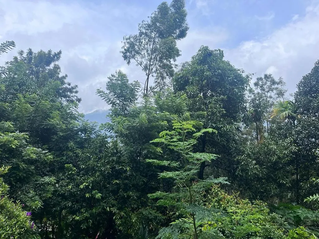 Le Farmhouse Munnar Anachal Frühstückspension
