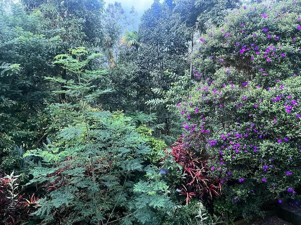 Le Farmhouse Munnar Anachal