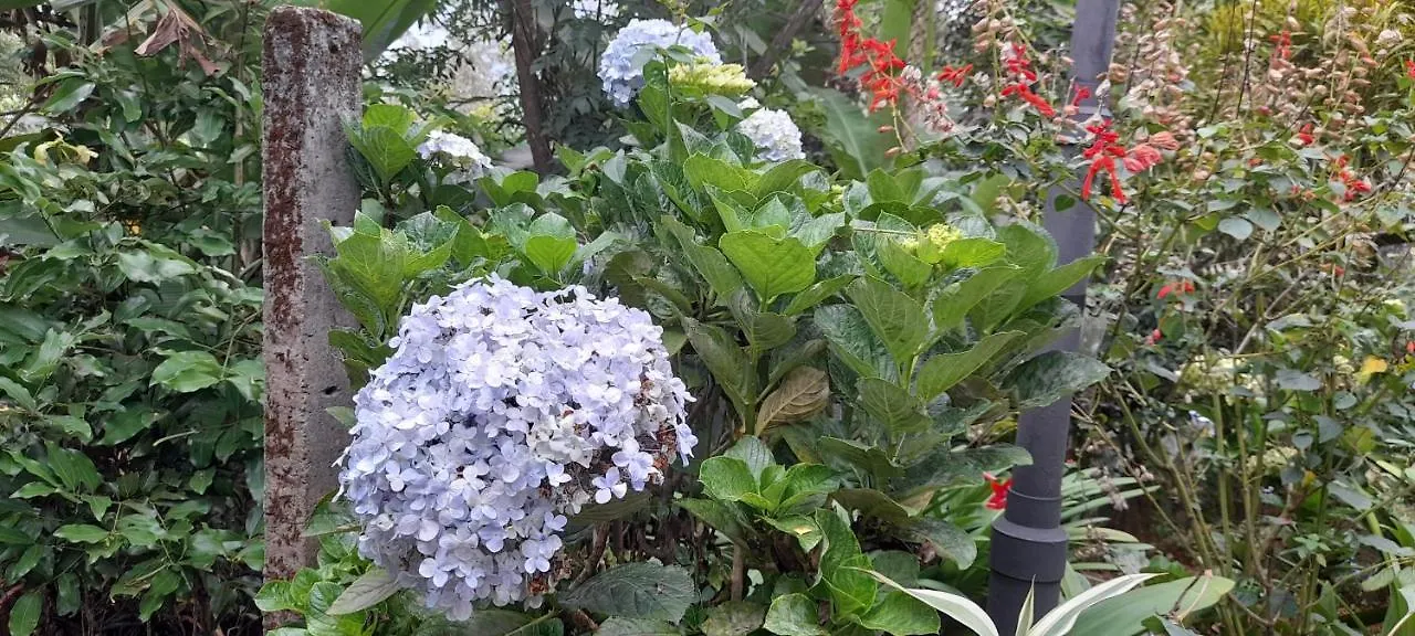 Bed & Breakfast Le Farmhouse Munnar Anachal