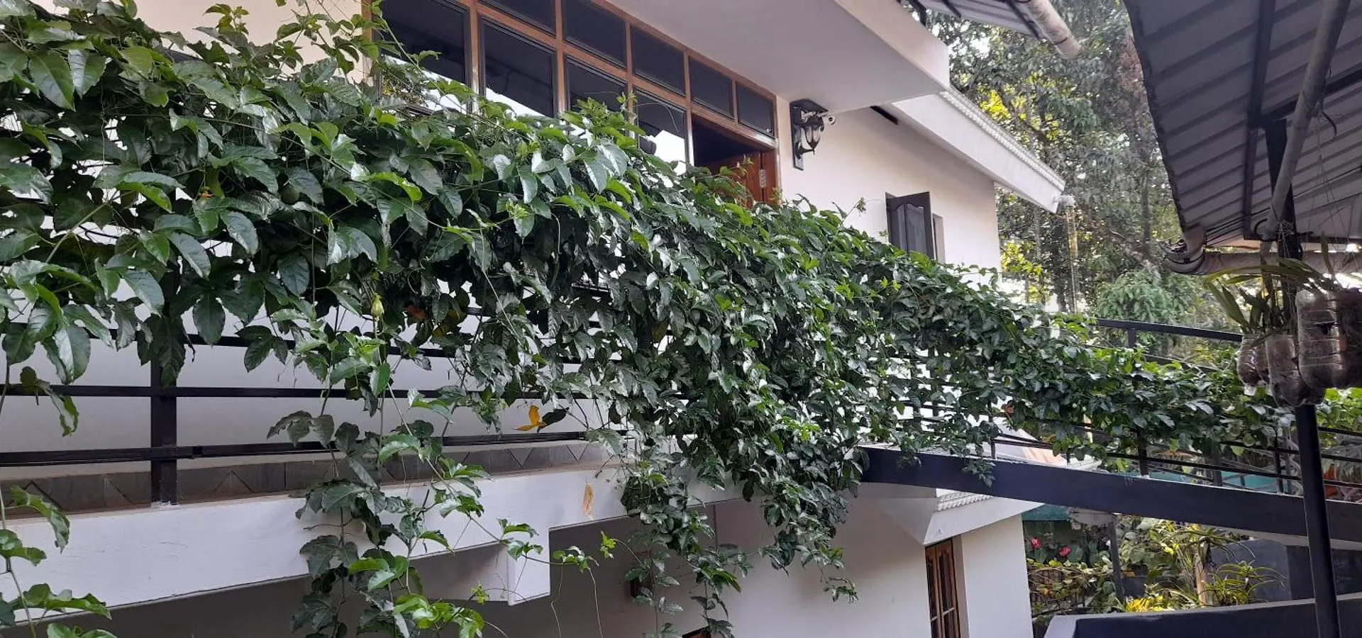 Le Farmhouse Munnar Anachal